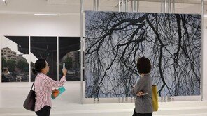 일민미술관 ‘형상 회로’전