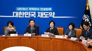 ‘허위정보 최대 5배 배상’ 유튜버도 포함 추진