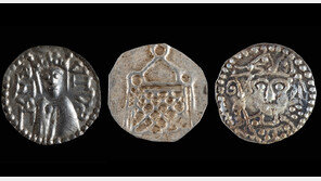 낚시 가려고 지렁이 찾다가…800년 된 은화 2만개 발견