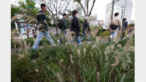 강원 한파에 이어 수도권도 영하 날씨…파주 -0.1도 서울 4.8도