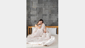 뉴질랜드 양모 100%… “5성급 호텔서 자는듯”