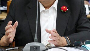 박지원 “국힘, 김현지에 ‘안방마님’ 음해…국감 출석 말아야” 입장 선회