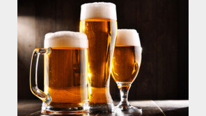 1주일에 맥주 한 캔 마셔도 치매 위험 15% 높아져