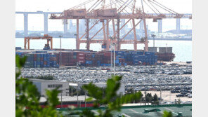 관세 여파에 이달 對美 수출 25% 급감