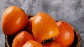 수확 앞둔 대봉감 900만원어치 하룻밤새 사라져…전문 절도범 추정