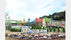 울산 입화산에 그물 모험 놀이시설 생겼다
