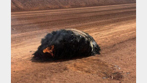 호주 사막에 ‘불타는 물체’ 떨어져…조사 결과 中의 실수