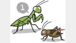 이상한 것이 정상이다[서광원의 자연과 삶]〈113〉