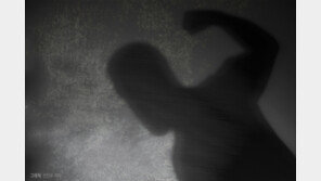 50대 취객이 버스기사 폭행…중앙분리대 추돌사고로 이어져