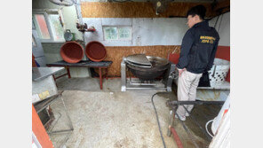 병든 흑염소까지…제주서 500마리 불법도축, 즙으로 10억어치 팔았다