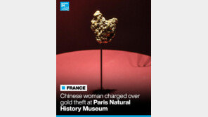 中여성, 佛박물관서 24억원 상당 ‘희귀 금덩이’ 훔쳤다 덜미