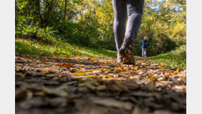  “4000보면 꽤 많이 걷는 것…주 3일 걸으면 사망 위험 40% ↓“
