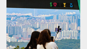 서울 아파트 3채 중 1채, 10·15 대출 규제 직접 영향권