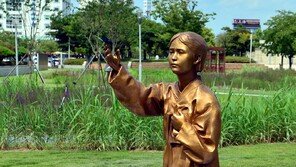 ‘위안부 사기’ 주장 우익단체, 학교 앞서 집회?…학습권 침해 논란