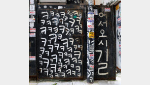 [고양이 눈]“환영해요”