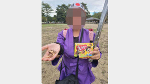 “한국인이 사슴에 과자” 주장 日시의원 아내, 되레 역풍 왜?