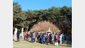 이성계 무덤 건원릉 내달 특별개방