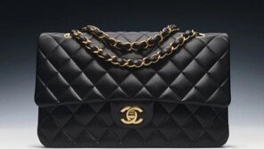 특검, 김건희에 건넨 그라프목걸이-샤넬백 3개-구두 확보