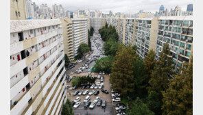 은마아파트 분담금 추정가 공개…펜트하우스 살려면 ‘97억’ 필요