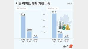 10·15 대책 후 서울 아파트 거래 3분의 1 ‘뚝’…15억 미만 비중 82%
