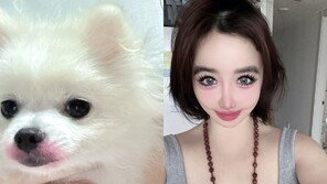 박봄, 천문학적 양현석 고소장 공개 후 근황… 반려견 사진 “립스틱 감사”