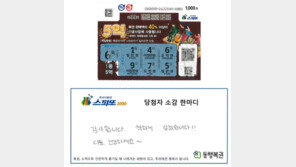 혼자 떠난 제주 여행서 산 복권…돌아와서 보니 1등