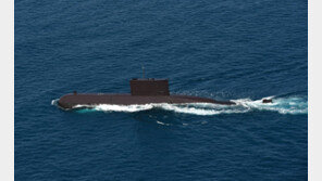 바다 지킬 ‘하사’가 없다…박위함·이종무함 등 보직률 0%