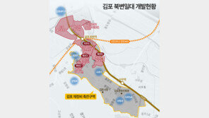 서울 규제 반사이익에 부상한 김포… 교통망·비규제 겹호재에 1만가구 주거벨트 개발 탄력