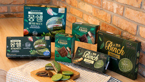 딸기-쇼콜라… ‘말차 디저트’ 신제품 잇따라 출시