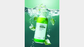 ‘슈퍼푸드’ 알로에로 면역력-장-피부 케어