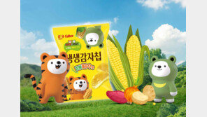 강원도서 나고 자란 감자-옥수수… 고소한 스낵으로 입맛 사로잡네