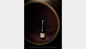 ‘칠레 와인=가성비’ 공식 깬다… 남미 철학 담은 ‘20배럴’ 시리즈