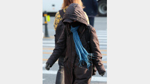 다음주 초 ‘강추위’ 온다…서울 등 체감온도 영하권 전망