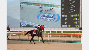 ‘스피드영’, 제21회 대통령배 우승…데뷔 3년 만에 G1 타이틀 차지