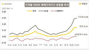 10·15 대책 후 서울 집값 주춤…“막바지 매수 후 숨고르기”