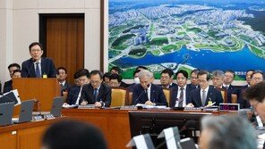 신생아특례대출 축소 논란에…국토부 “대출 규제 불가피”