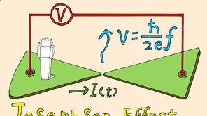 연구실이라는 생태계[이기진의 만만한 과학]
