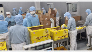 “K스낵, 중동-남미 진출해 美관세 리스크 넘는다”