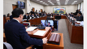 자영업 부실 직격탄…올해 신보가 대신 갚은 돈 5492억, 회수율은 8%