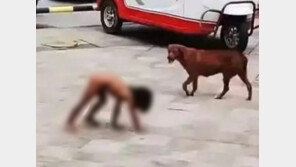 옷도 안 입힌 채 “자연교육”?…中 고학력 부부의 야만 육아에 공분