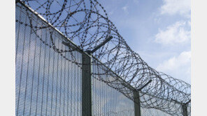 [단독]‘억울한 옥살이’ 국가보상 늑장…5건중 1건 법정기한 넘겨