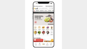 [프리미엄뷰]‘e마일’ 리뉴얼 3주년… 1시간 ‘퀵배송’으로 온라인 장보기 혁신 주도