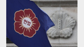 헌재 “재판소원, 4심제 표현은 본질 왜곡”