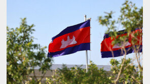 [단독]마약상 “캄보디아 선물 전달땐 130억 지급”… 코카인 해외 운반 나선 헤드헌터 기업 상무