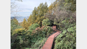 도심-남산 잇는 무장애 산책로 내일 개방