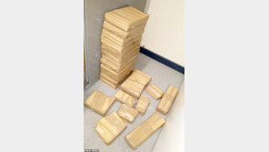 가스통 속에 숨긴 코카인 1300억원어치…141년형 선고