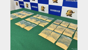 日여성 3명, 속옷에 ‘이것’ 8㎏ 숨겼다…공항서 ‘덜미’