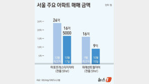 10·15 대책 이후, 마포구 아파트 7억 ‘뚝’…친족 거래 사례 속출