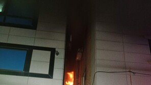 바퀴벌레 잡으려다 집 태워 9명 사상…20대 여성 구속 송치