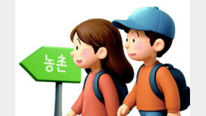 학원 대신 오름으로, 친구와 뛰놀자… 아이들이 ‘자연’스러워졌다